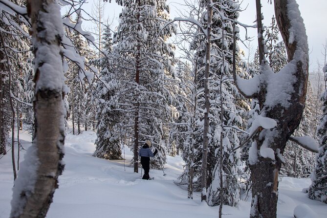 Levi: Lakeside forest snowshoeing - Where you start in Levi, and why that matters