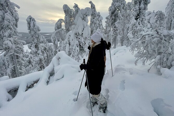Levi: Lakeside forest snowshoeing - The 2-hour route: forest trails near Kätkä mountain to a frozen lake