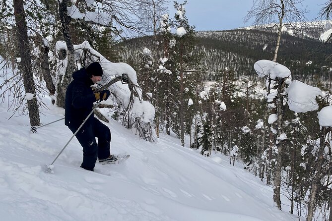 Levi: Lakeside forest snowshoeing - Weather and safety in Lapland winter: how to set yourself up
