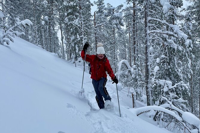 Levi: Lakeside forest snowshoeing - Who this tour suits best (and who might want a different style)