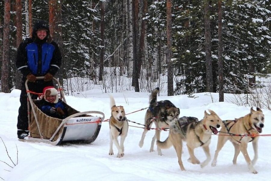 Levi: Lapland Reindeer and Husky Safari - Husky Home Encounters and The Husky Pulled Sled Ride (About 2 km)