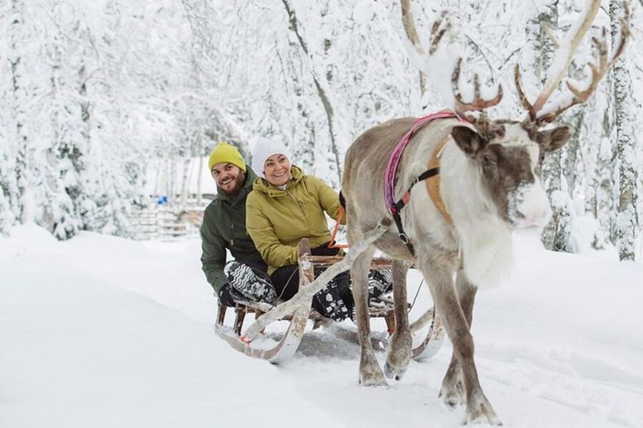 Levi: Lapland Reindeer and Husky Safari - The Reindeer Pulled Sled Ride: Calm, Scenic, and Only About 1 km
