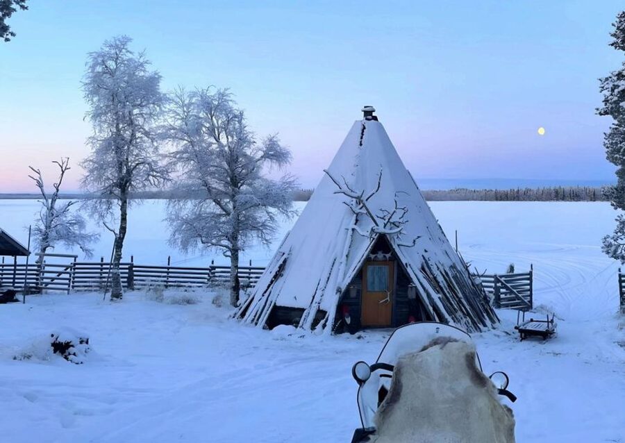 Levi: Lapland Reindeer Safari - The Sled Ride: Calm, Scenic, and Reindeer-Led