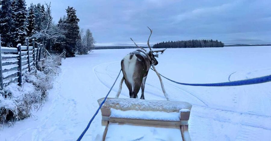 Levi: Lapland Reindeer Safari - What to Wear and How to Set Yourself Up for Comfort