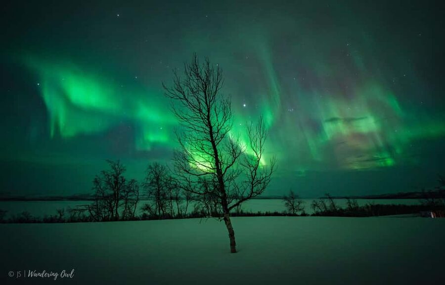 LEVI Night Star Walk on Snowshoes (ALL INCLUDED) - Key highlights to know before you go