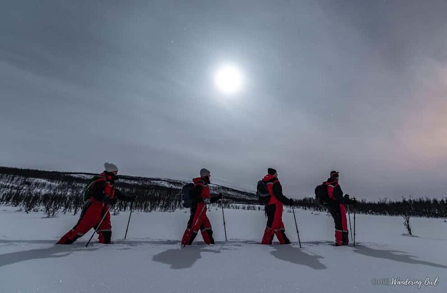 LEVI Night Star Walk on Snowshoes (ALL INCLUDED) - Dark skies, not just a walk, in Levi’s winter night