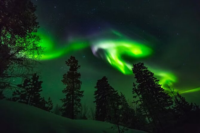 Levi Northern Lights Experience - Key highlights before you go