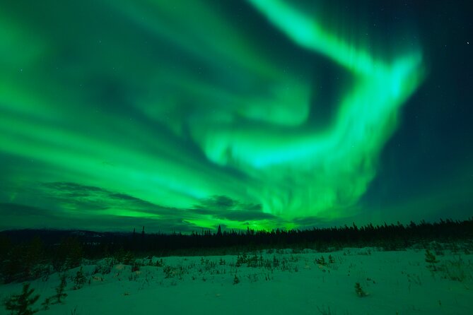 Levi Northern Lights Experience - What the guide actually does during the aurora chase