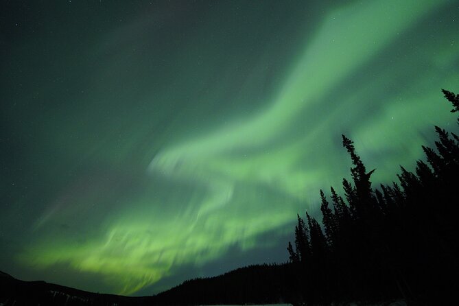 Levi Northern Lights Experience - Warm cabin breaks: the difference between a tour and a survival test
