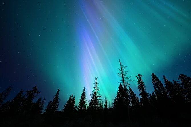 Levi Northern Lights Experience - Snacks and warm drinks: small included comfort that adds up