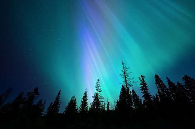 Levi Northern Lights Experience - Price and value: is $179.82 a fair deal?