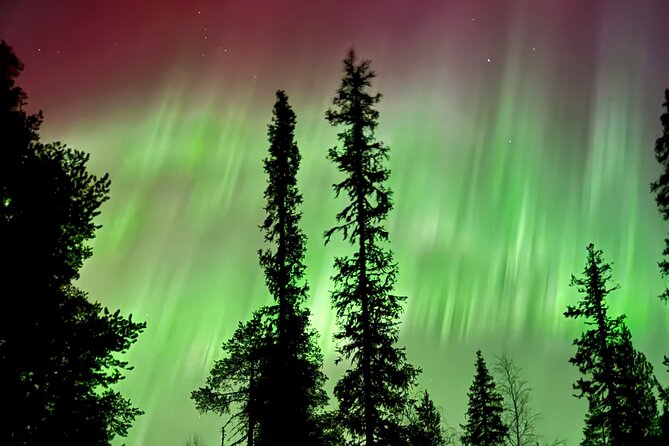Levi Northern Lights Experience - The 3-hour experience: what to expect from the pacing and group size