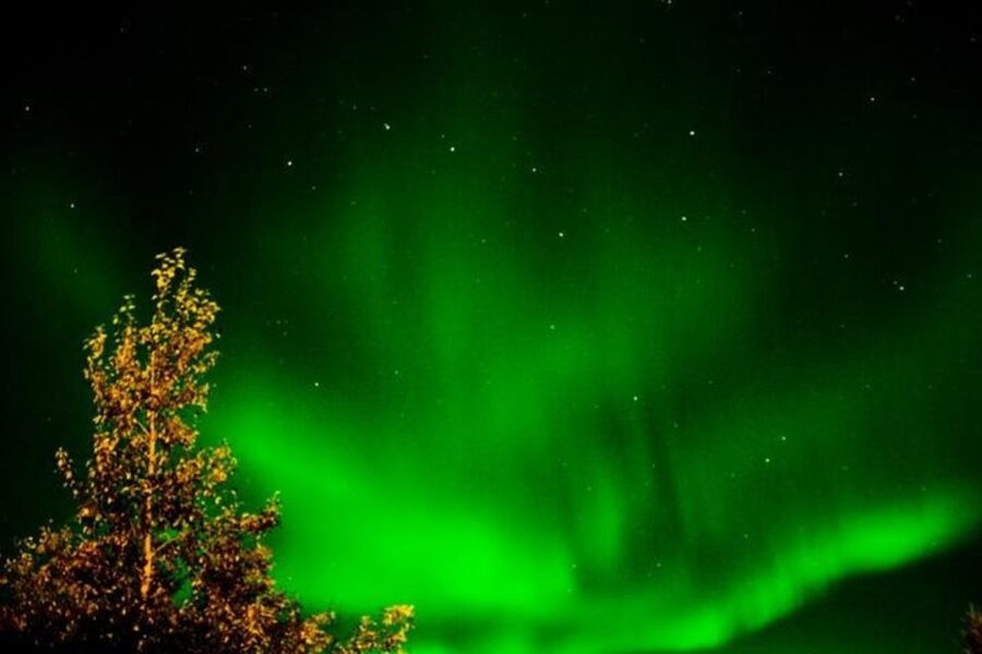 Levi: Northern Lights Hunt Including Campfire Snacks - Booking basics, timing and language you can expect