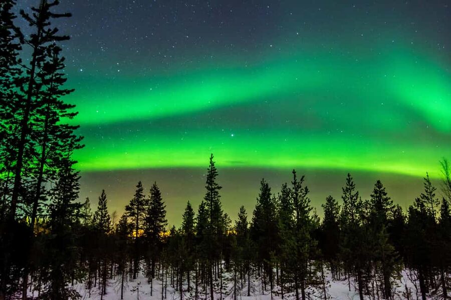 Levi: Northern Lights Hunt with Hot Drink - Key Highlights You Can Bank On