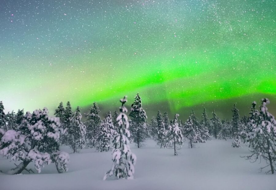 Levi: Northern Lights Snowmobile Tour with Snacks and Drinks - The secret stop by the open fire: snacks, photos, and a real chance to breathe