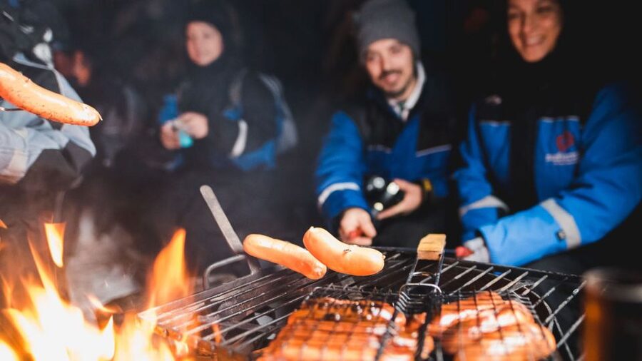 Levi: Northern Lights Snowmobile Tour with Snacks and Drinks - Gear, transfers, and the meeting point that you should not miss