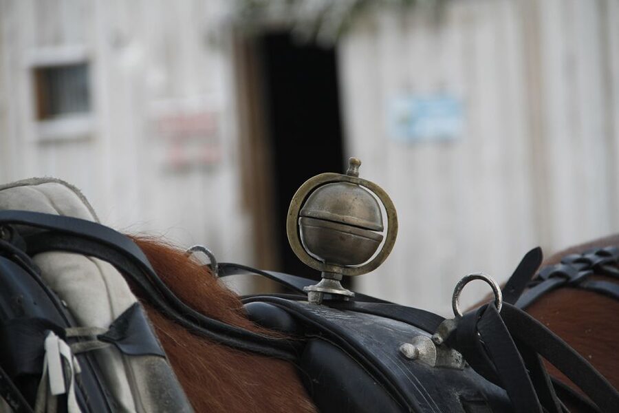Levi: One Horse Open Sleigh Ride - Key things to know before you go