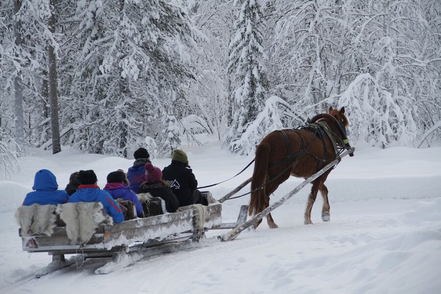Levi: One Horse Open Sleigh Ride - A Quiet One-Horse Sleigh Ride in Levi