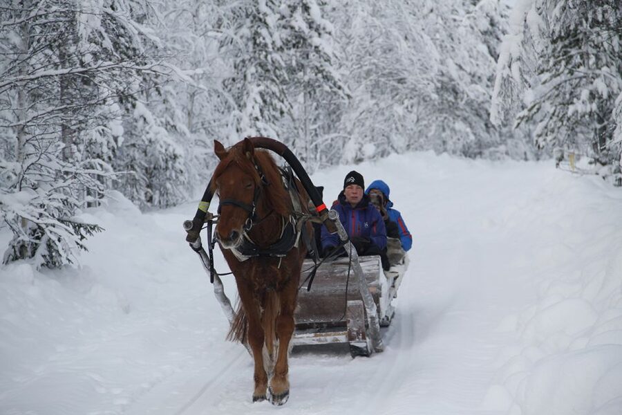 Levi: One Horse Open Sleigh Ride - Safety Briefing, Guided Time, and a Photo Stop That Actually Helps