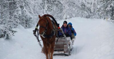 One Horse Open Sleigh Ride