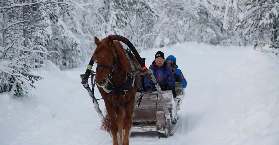 Levi: One Horse Open Sleigh Ride - Getting There From Levi Center, and Finding the Right Bus