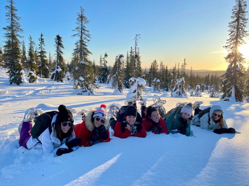 Levi: Pallas-Yllästunturi National Park Snowshoeing Tour - Key highlights worth planning around