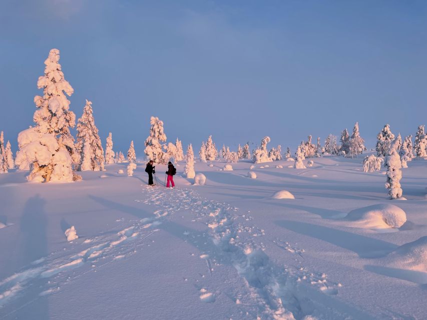 Levi: Pallas-Yllästunturi National Park Snowshoeing Tour - Gear and what you must bring for comfort