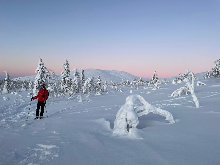 Levi: Pallas-Yllästunturi National Park Snowshoeing Tour - Price and value: is $187 fair for this kind of half-day?