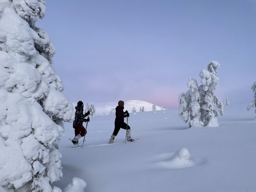 Levi: Pallas-Yllästunturi National Park Snowshoeing Tour - From Levi pickup to the park: the van ride that sets the tone