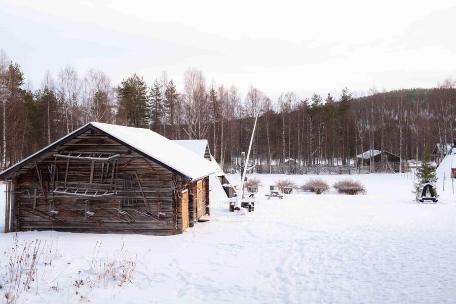Levi: Reindeer Farm E-Fatbike Safari - Entering the snow on an e-fatbike: beginner-friendly, with one real caution