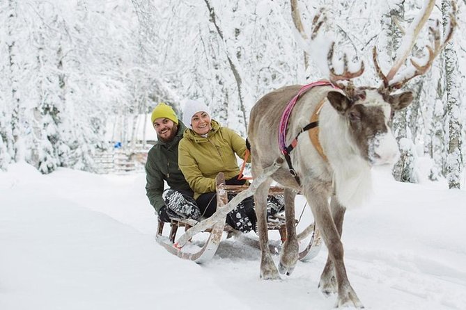 Levi Reindeer Safari - Long or Quick - with Sledge Ride - The safari sled ride: 1 km of wintry fun (and why it can feel short)