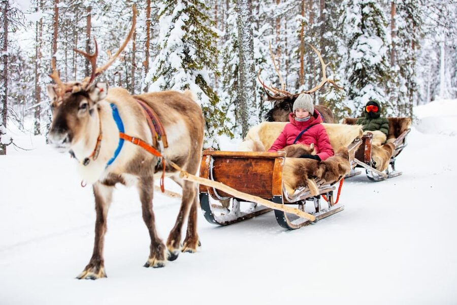 Levi: Reindeer Sleigh Ride Tour in Snowy Forest - Who This Tour Fits Best in Levi