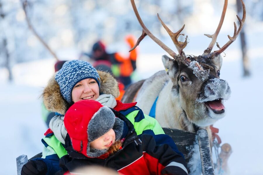 Levi: Reindeer Sleigh Ride Tour in Snowy Forest - What to Wear, What to Bring, and How to Photograph Well