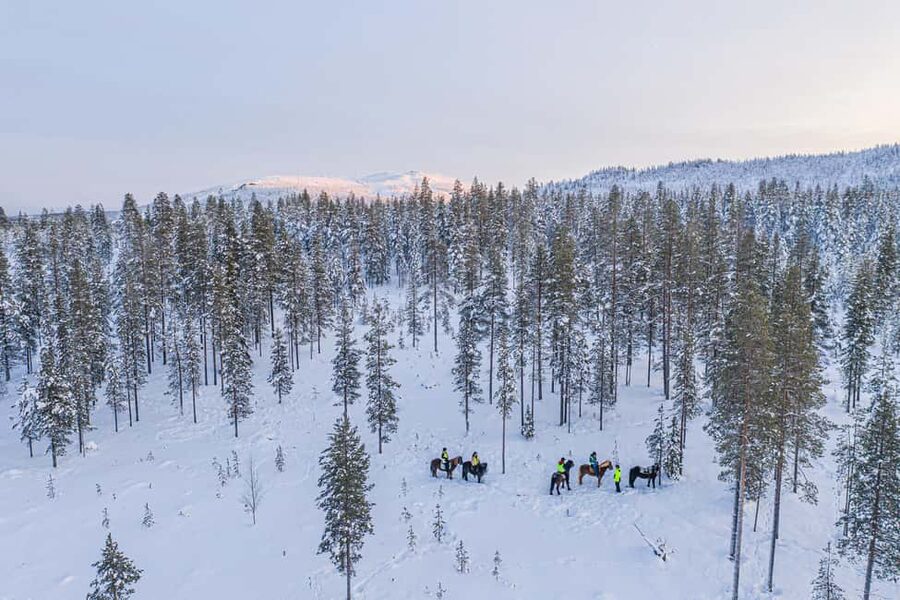 Levi: Riding Trek with Icelandic Horses - Key highlights to know before you go
