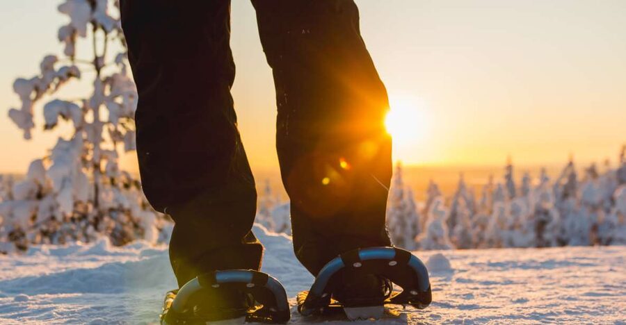 Levi: Scenic Levi Snowshoe Trip - Why Snowshoeing Feels Different Than Walking in Levi