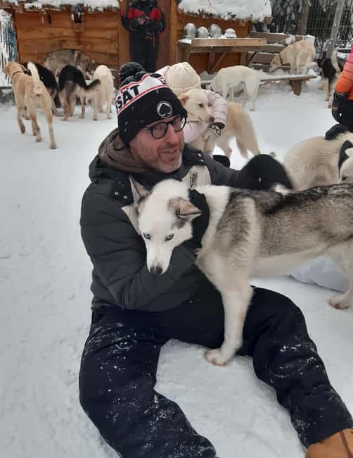 Levi: Self-Drive 2 KM Husky Sledding Experience - Quick takeaways