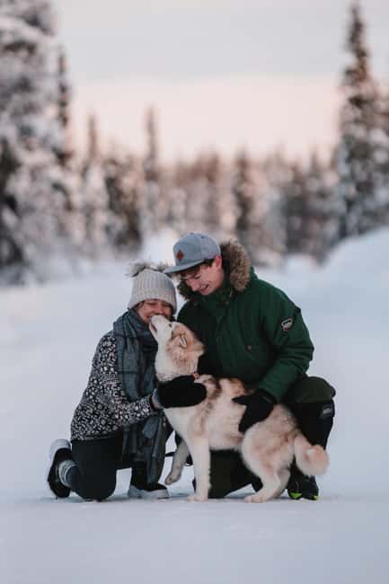 Levi: Self-Drive 2 KM Husky Sledding Experience - Where you meet the huskies near Levi