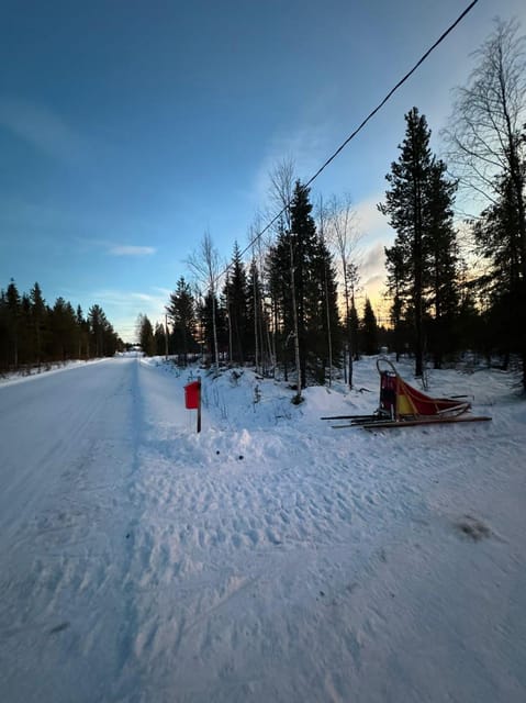 Levi: Self-Drive 2 KM Husky Sledding Experience - Small-group energy and individual attention
