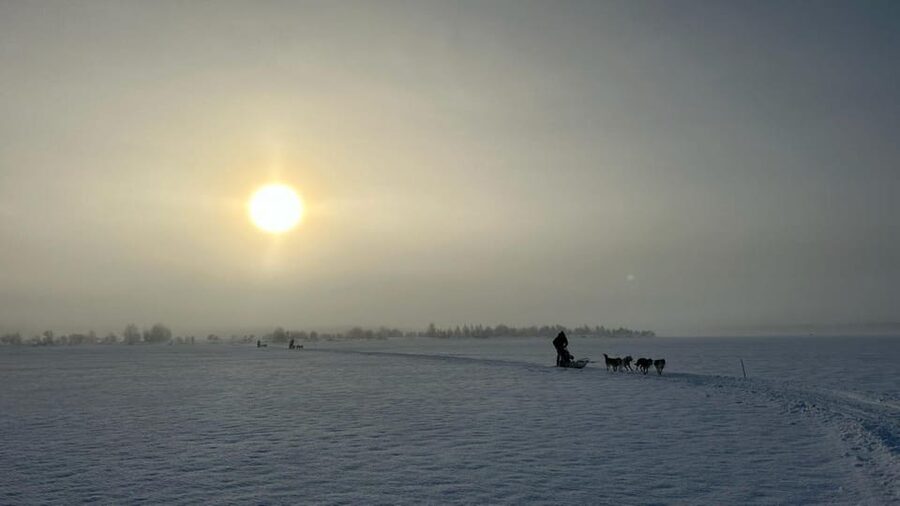 Levi: Self-Drive 5 KM Husky Sledding Experience - Key Points Before You Go