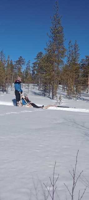 Levi: Self-Drive 5 KM Husky Sledding Experience - Your Small-Group Experience: Why It Feels Personal