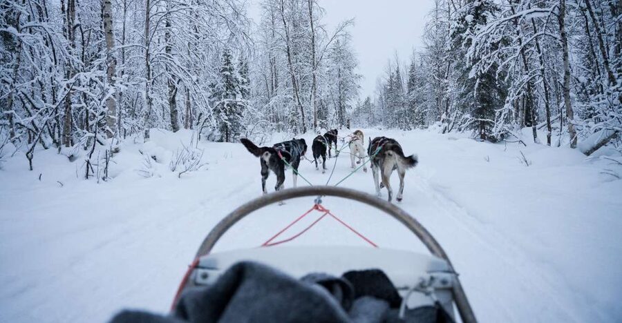 Levi: Self-Drive Guided Husky Tour - Hissitie 11 start, the quick coach ride, and the safety-first setup