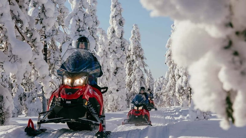 Levi: Snowmobile Safari to the Levi Nature - Key highlights to look for