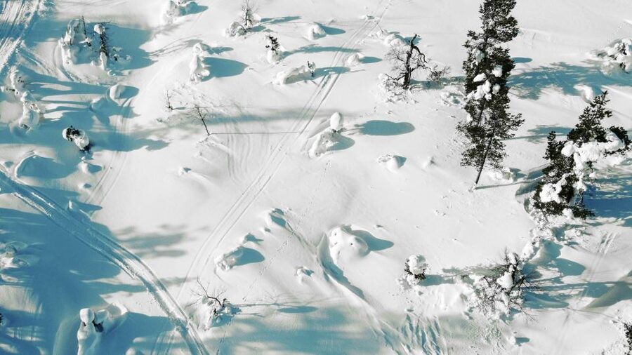 Levi: Snowshoe Adventure in the Wilderness - Key highlights you will feel right away