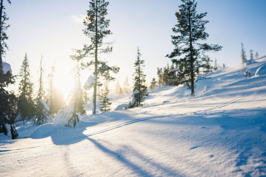 Levi: Snowshoe Adventure in the Wilderness - Price and value: what you actually get for about $105