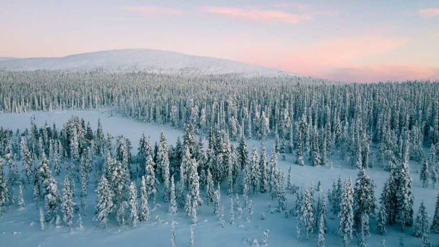 Levi: Snowshoe Adventure in the Wilderness - Who should book this snowshoe and photo adventure