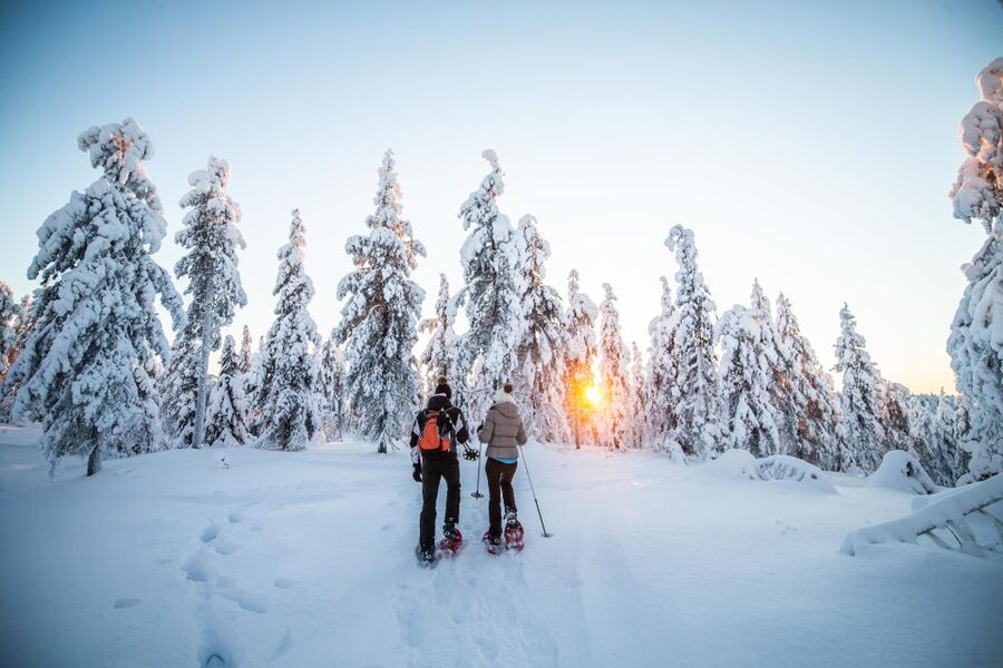 Levi: Snowshoe Adventure in the Wilderness - Should you book Levi: Snowshoe Adventure in the Wilderness?