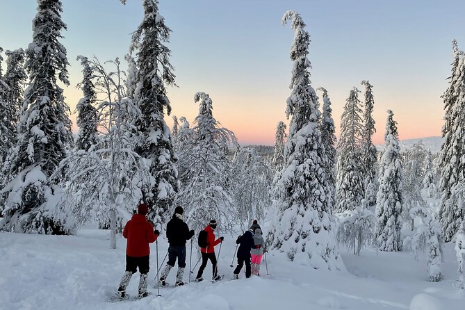 Levi: Snowshoeing adventure in the National Park - Key highlights I’d center in your planning