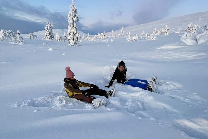 Levi: Snowshoeing adventure in the National Park - The half-day timing: 45 minutes driving, then snowshoe and lunch rhythm