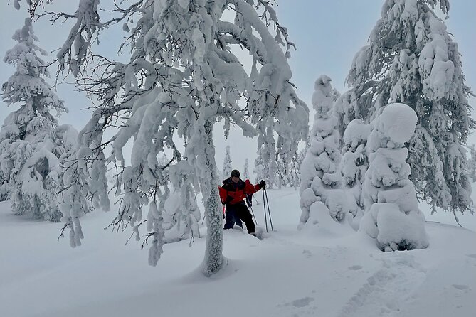 Levi: Snowshoeing adventure in the National Park - Guides who actually adjust to your comfort level