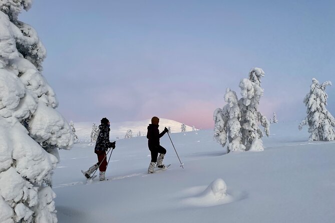 Levi: Snowshoeing adventure in the National Park - Group size, pace, and who will love this most
